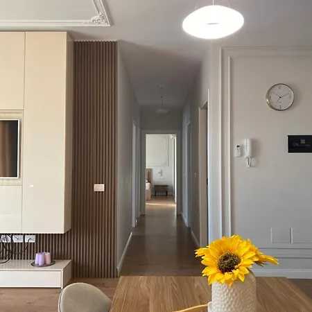 Modern Sunlight *